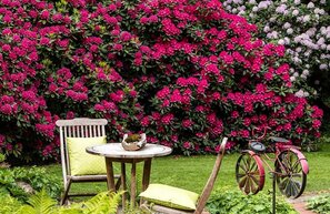 © Erstrahlt im Frühling in voller Blütenpracht: der Bauerngarten Anke zu Jeddeloh in Edewecht. Foto: djd/Ammerland Touristik/Ferdinand Graf Luckner