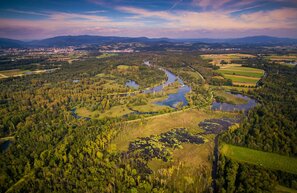 © Die Auenlandschaft an der Isarmündung ist ein einzigartiger Lebensraum. Foto: djd/Landkreis-Deggendorf