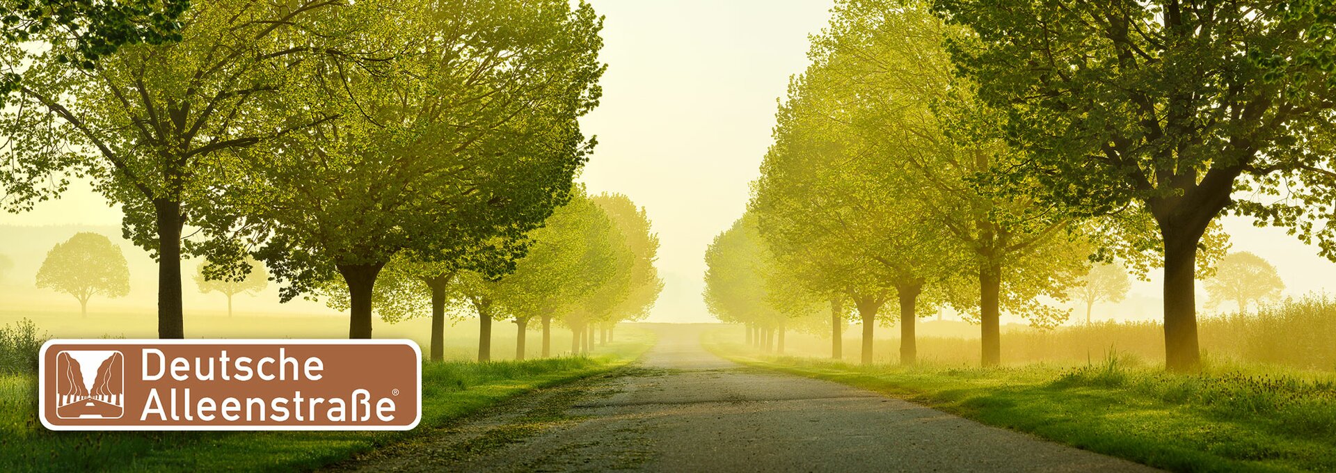 German Avenue Road | © Lindenallee © Andreas Vitting - stock.adobe.com German Avenue Road | © Lindenallee © Andreas Vitting - stock.adobe.com