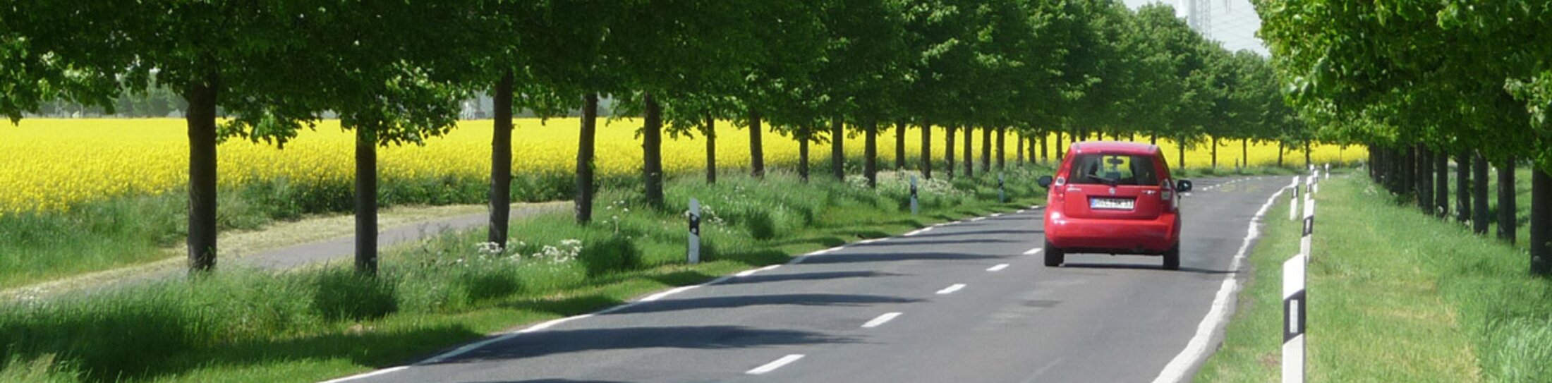 German Avenue Road | © Deutsche Alleenstraße neu 2017 © Arge Deutsche Alleenstraße e.V. German Avenue Road | © Deutsche Alleenstraße neu 2017 © Arge Deutsche Alleenstraße e.V.