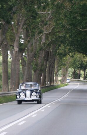 German Avenue Road | © Deutsche Alleenstraße 02 © Arge Deutsche Alleenstraße e.V.