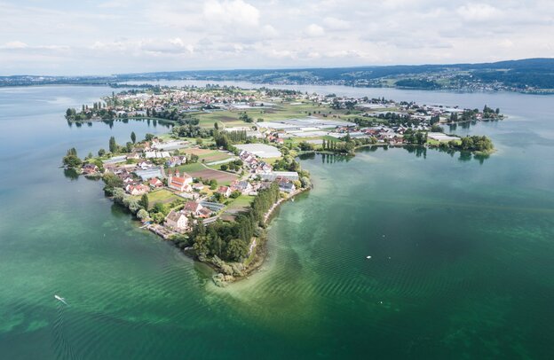 Lake Constance, Reichenau Island, German Avenue Road | © Lake Constance, Reichenau Island, Foto: TMBW / Oliver Raatz