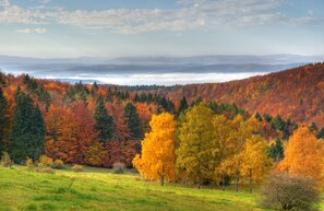 © Thüringer Wald © Andreas Lauerwald