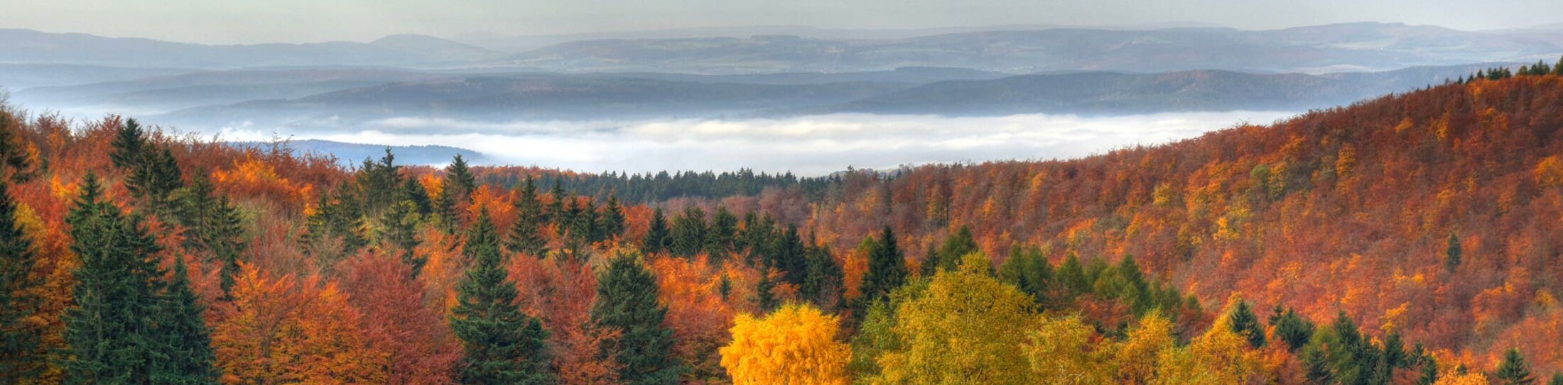 Thuringian Forest Nature Park Route | © © Andreas Lauerwald Thuringian Forest Nature Park Route | © © Andreas Lauerwald