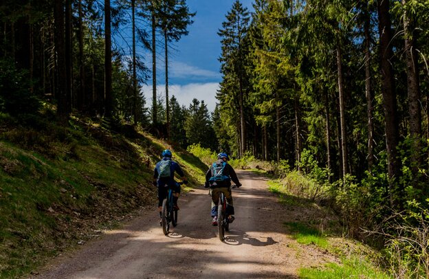 © Radfahren im Thüringer Wald © Oliver Hlavaty - stock.adobe.com