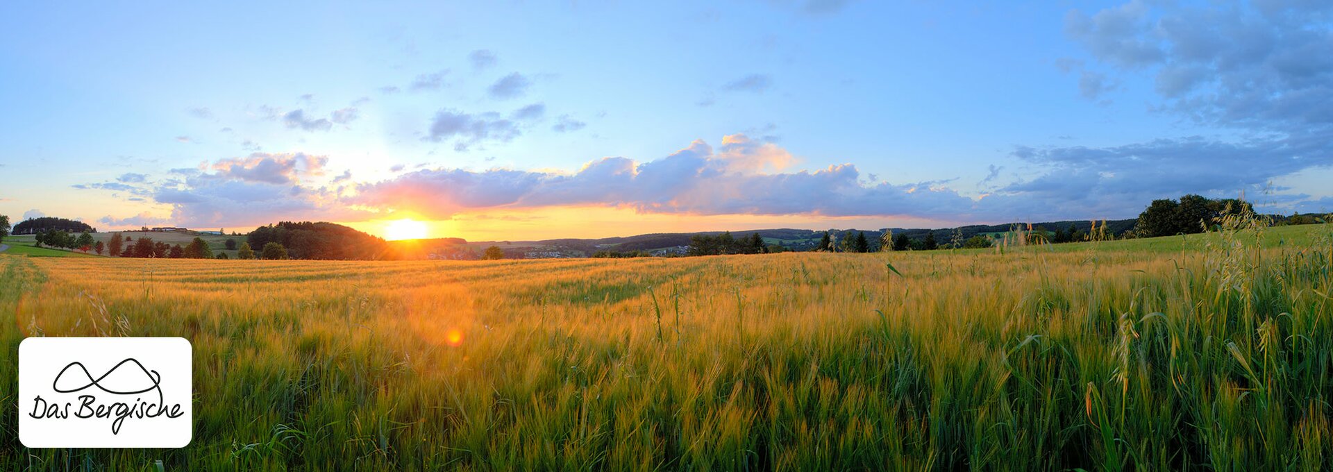 © Panoramaroute Bergisches Land Kornfeld © Klaus Stange © Panoramaroute Bergisches Land Kornfeld © Klaus Stange