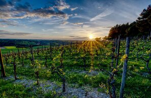 © © Tourismus Wertheim GmbH