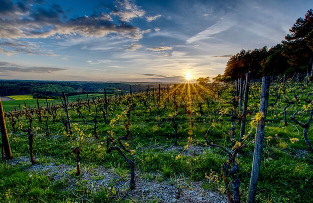© © Tourismus Wertheim GmbH