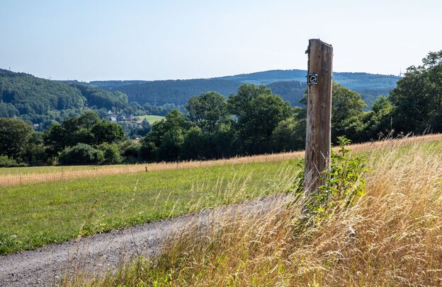 © Wandern auf der Eiecke, Neunkirchen-Zeppenfeld © Michael Bahr TVSW e.V.