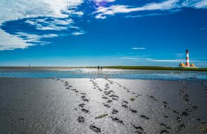 © Welterbe Wattenmeer © Animaflora PicsStock - stock.adobe.com