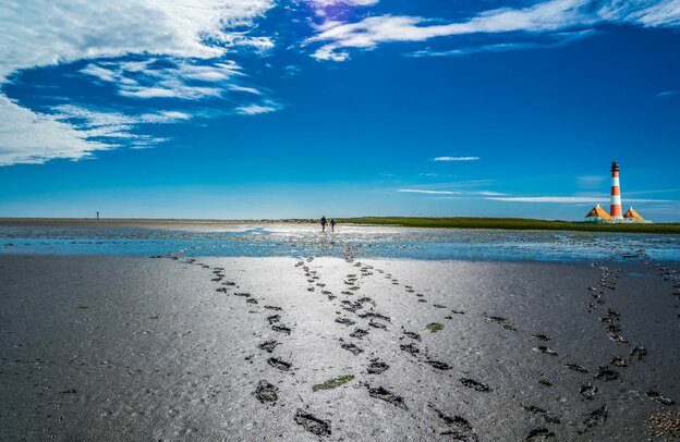© Welterbe Wattenmeer © Animaflora PicsStock - stock.adobe.com
