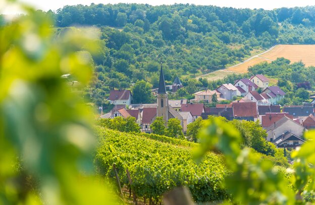 © Weinstraße Taubertal © TLT:Thomas Weller