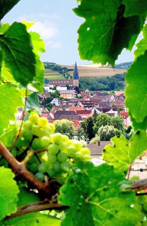 © Weinstraße Taubertal © TLT:Thomas Weller