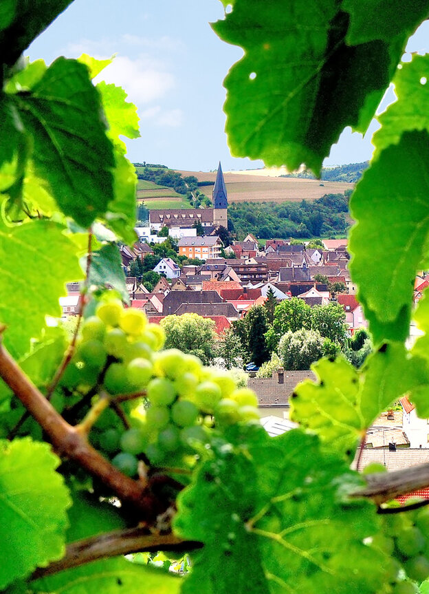 © Weinstraße Taubertal © TLT:Thomas Weller