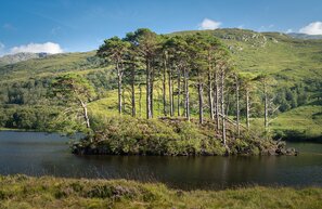 Eilean Na Moine, Loch Eilt | © Dumbledore’s Grave, Photo: hopsalka - stock.adobe.com
