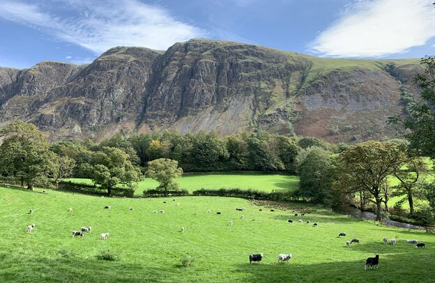 Lake District - green fields mountains | © Original Jessica Howe, ALPS ALPINE EUROPE GmbH