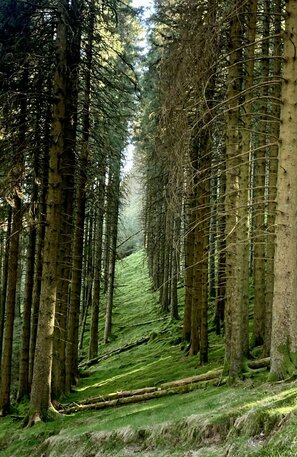 Lake District | © Original Jessica Howe, ALPS ALPINE EUROPE GmbH