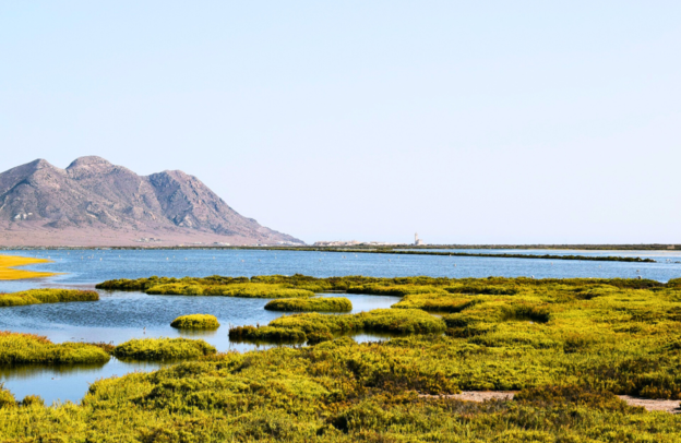 Las Salinas de Cabo de Gata | © Las Salinas de Cabo de Gata - Foto: Pacto Visual de Pixabay