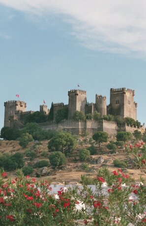 Castillo de Almodóvar del Río (Córdoba) | © Castillo de Almodóvar del Río (Córdoba) | Rabe!, CC BY-SA 3.0 <https://creativecommons.org/licenses/by-sa/3.0>, via Wikimedia Commons