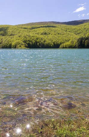 Selva de Irati - Navarra | © Selva de Irati - Navarra | Francis Vaquero