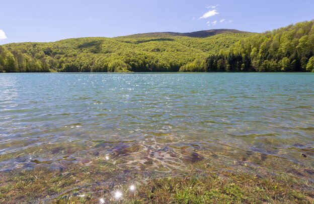 Selva de Irati - Navarra | © Selva de Irati - Navarra | Francis Vaquero