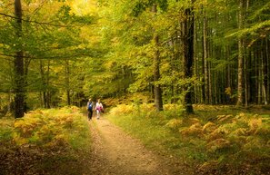 Selva de Irati - Navarra | © Selva de Irati - Navarra | Iñaki Tejerina