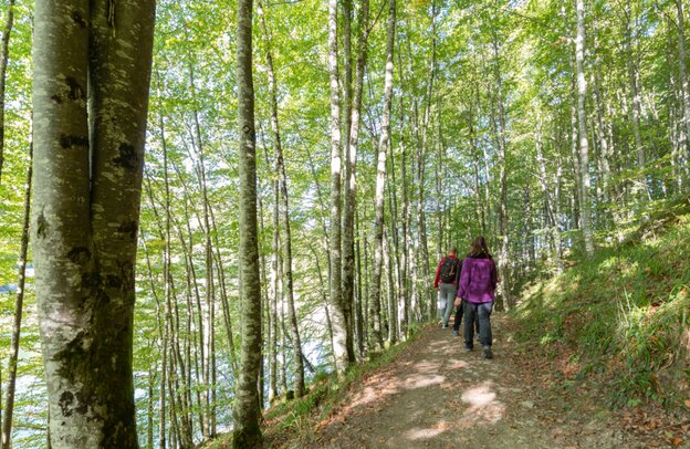 Selva de Irati - Navarra | © Selva de Irati - Navarra | Francis Vaquero