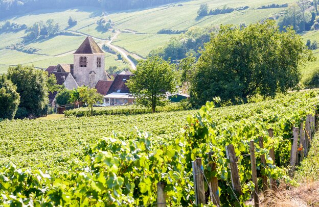 View over the Champagne vineyards in Bonneil, France | © ©olrat - stock.adobe.com