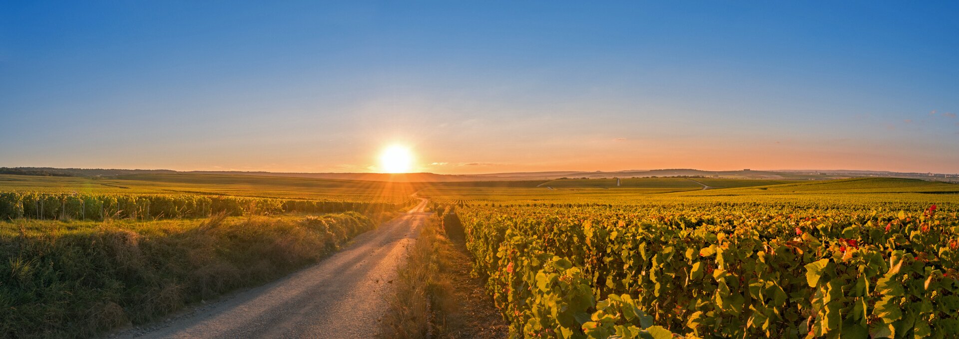 Verzy, Champagne by motorhome | © Verzy, Champagne by motorhome ©Didier Laurent - stock.adobe.com Verzy, Champagne by motorhome | © Verzy, Champagne by motorhome ©Didier Laurent - stock.adobe.com