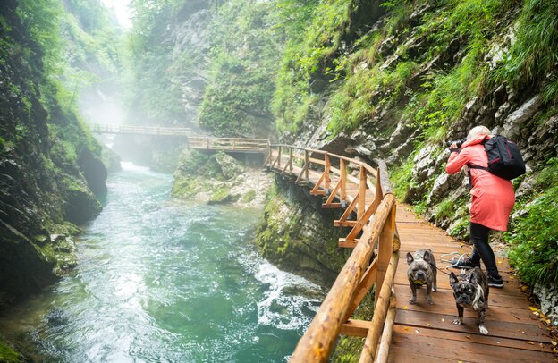 Vintgar Gorge Slovenia - Camping Motorhome Route | © Vintgar Gorge - Foto: Daniel Beckemeier - stock.adobe.com