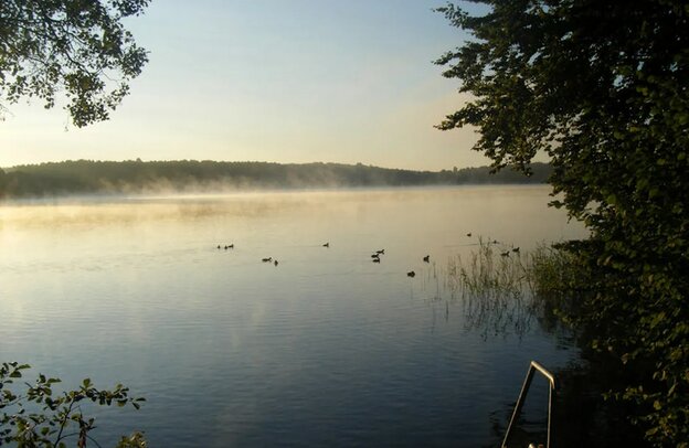 Nudist Camping Germany: Camping Rehberge | © .