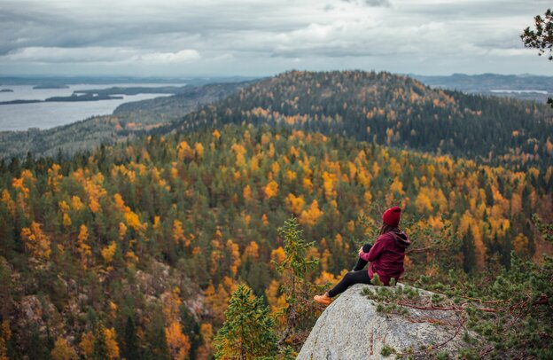 Koli National Park, camping in Finland with a motorhome | © Koli National Park, Foto: Julia Kivelä