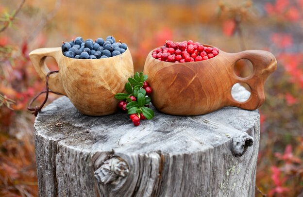 Cranberries and blueberries, camping in Finland by motorhome | © Foto: Soili Jussila/Vastavalo, Visit Finnland