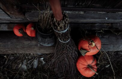 Halloween Pumpkins and Broom | © Halloween Pumpkins and Broom |Thirdman - Pexels